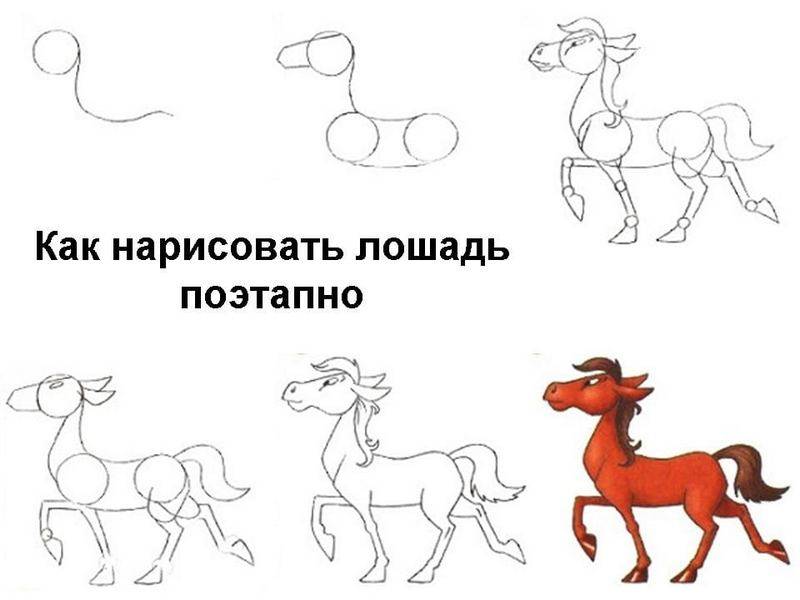 Как нарисовать лошадь поэтапно