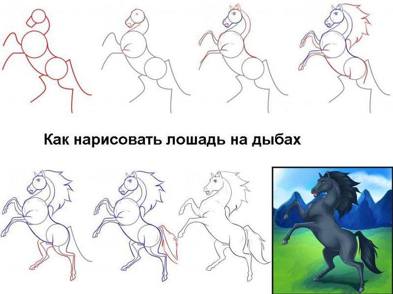 Как нарисовать лошадь на дыбах