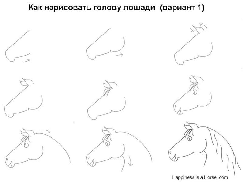 Как нарисовать голову лошади
