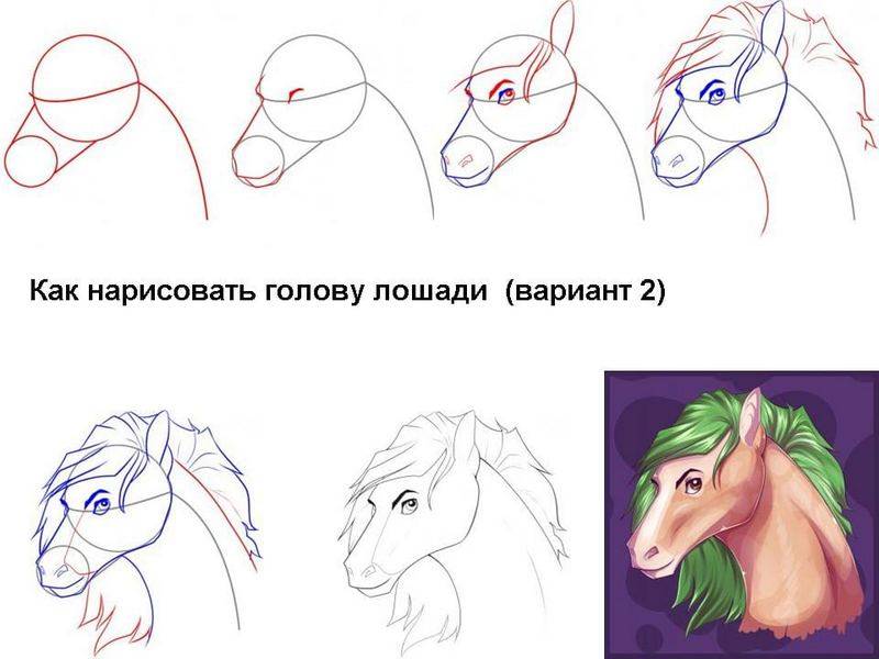 Как нарисовать голову лошади