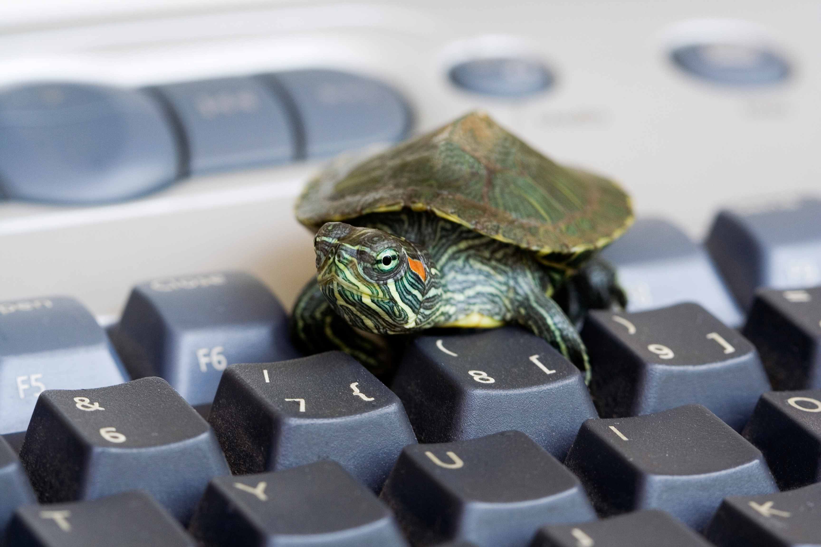 Установка и настройка среды для работы с Turtle