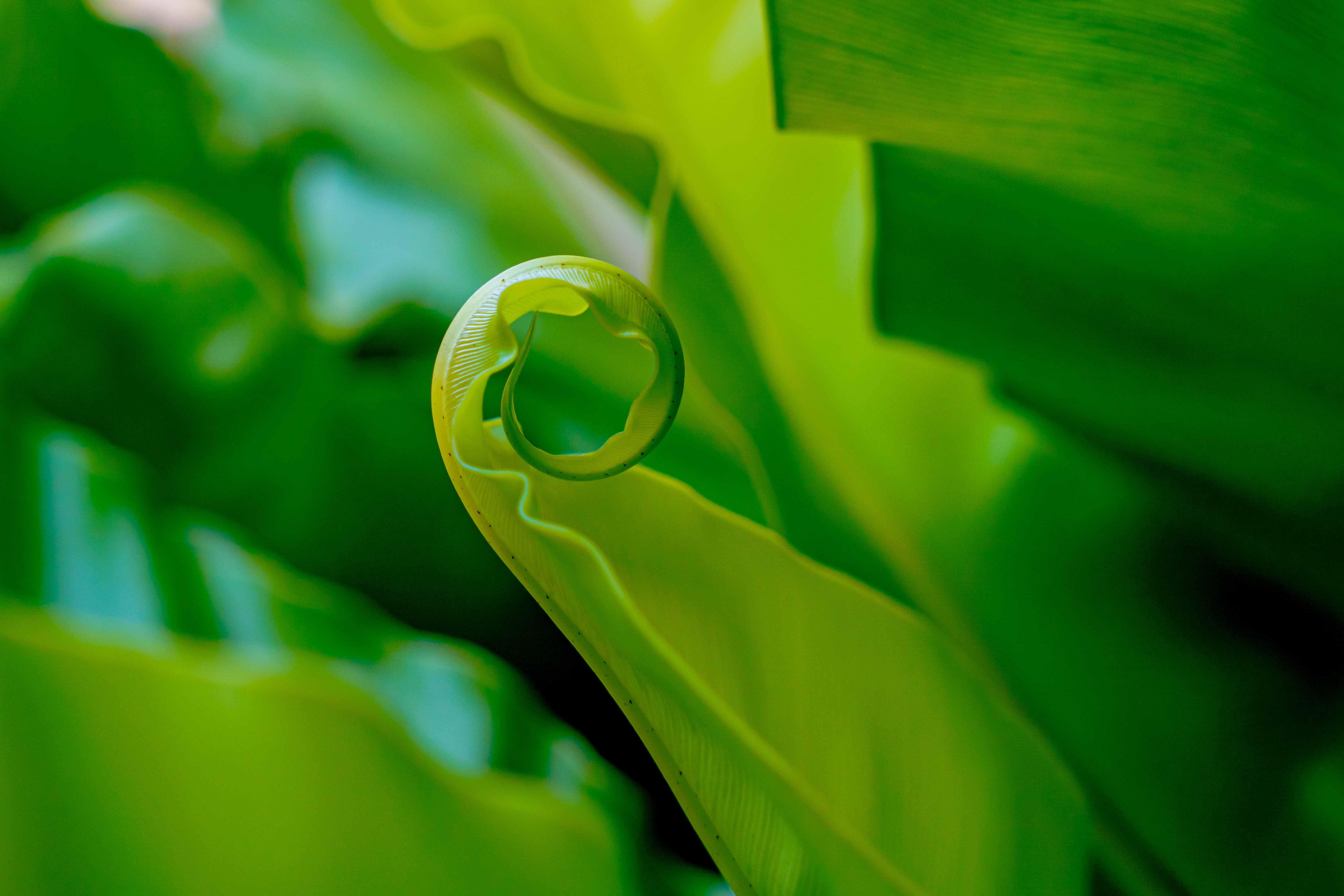 Экологичность и природа: John Deere