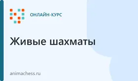 Шахматы с нуля