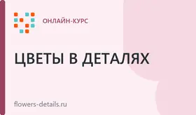Онлайн-курс «Флористика для начинающих». С обратной связью