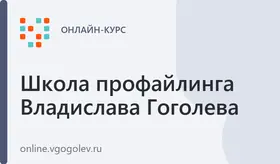 Профайлер-верификатор