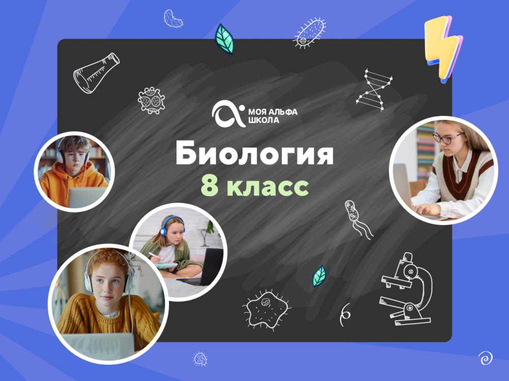 Онлайн-занятия с репетитором по биологии. 8 класс