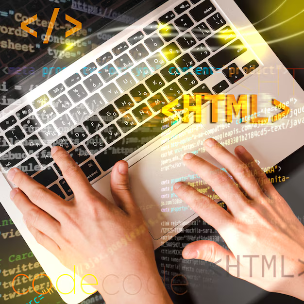 middle back end developer