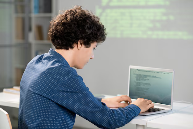junior python developer