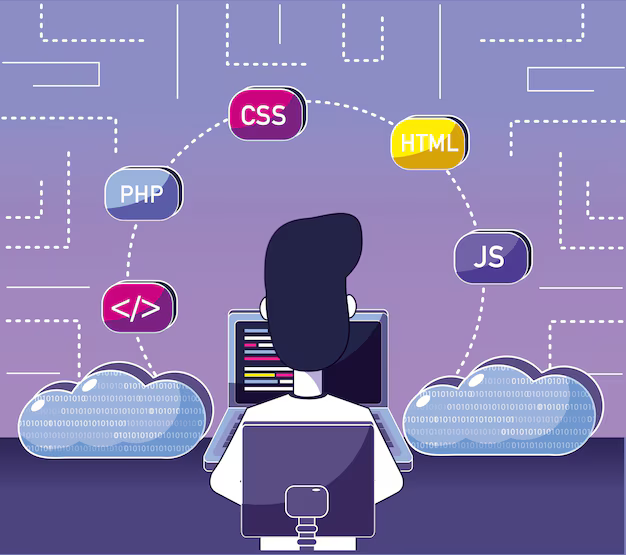 full stack js developer