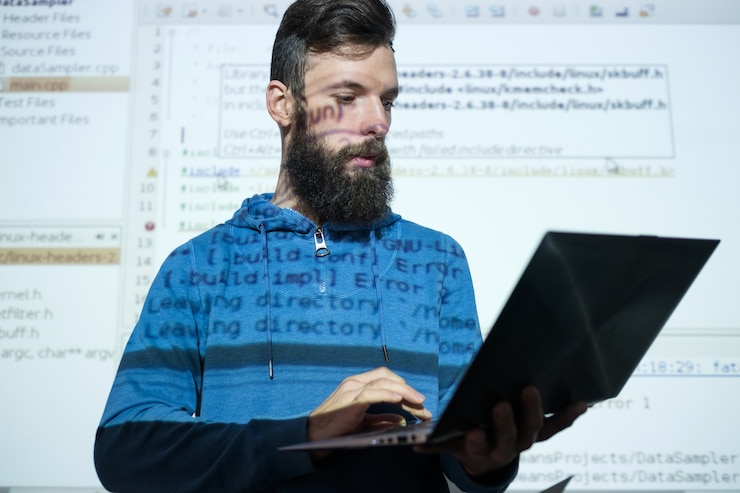программист python