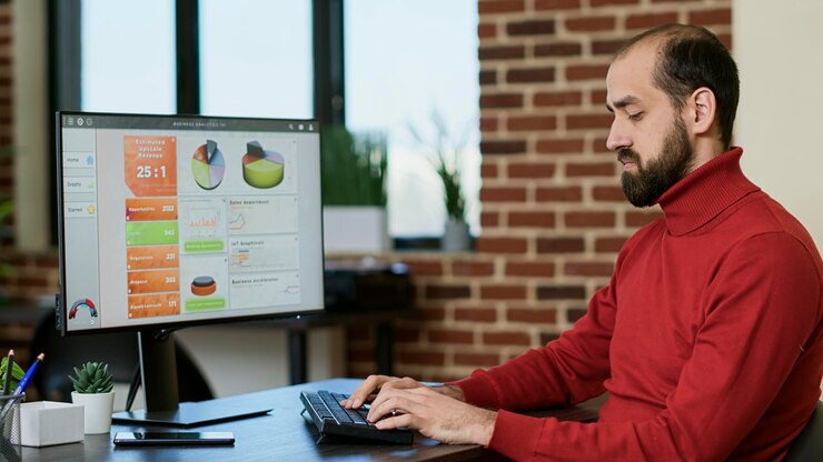 web analyst