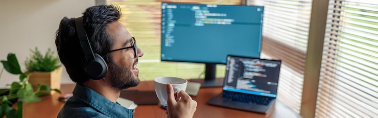 java ee developer