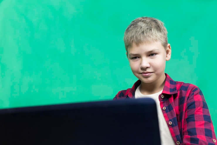 младший web программист