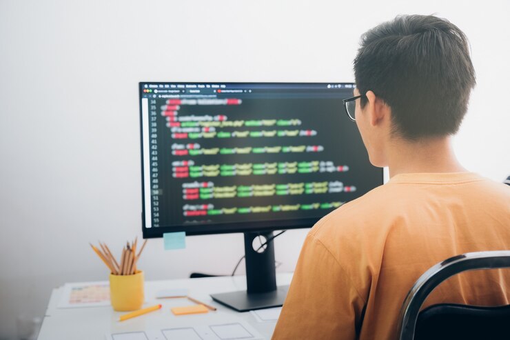 python backend developer