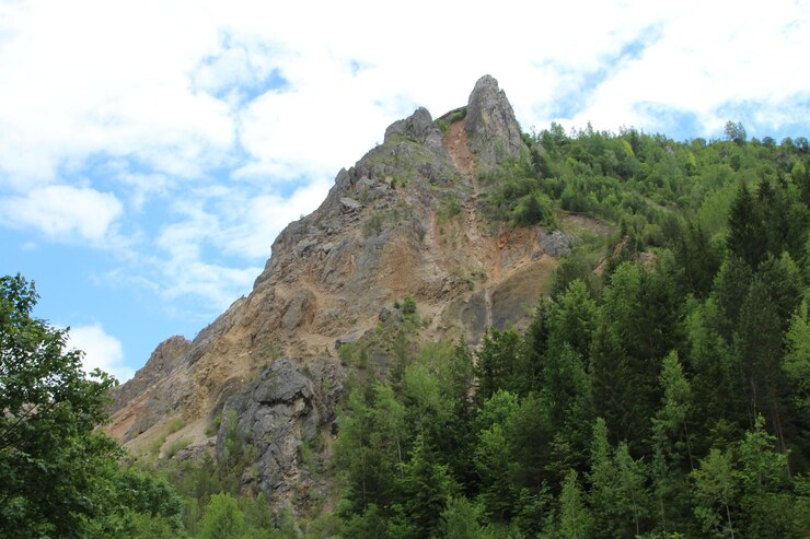 главный горняк